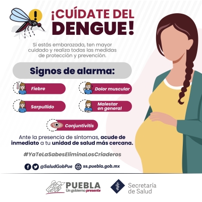 En últimas 24 horas, Puebla registra 29 personas hospitalizadas por dengue: Salud