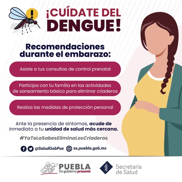 Registra Salud seis personas hospitalizadas por dengue