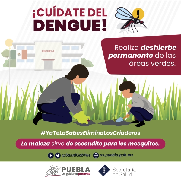 Registra Puebla 38 nuevos casos de dengue en 24 horas: Salud