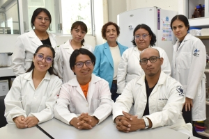 Extractos de pápalo y pipicha inhiben crecimiento de bacterias patógenas