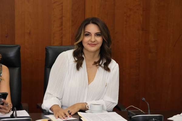 Por una eficiente impartición de justicia, salgamos a votar el próximo 1 de junio: Maiella Gómez
