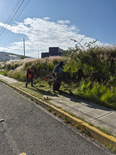 Mantiene Tonantzin Fern&aacute;ndez trabajo constante en el mejoramiento de parques y &aacute;reas verdes