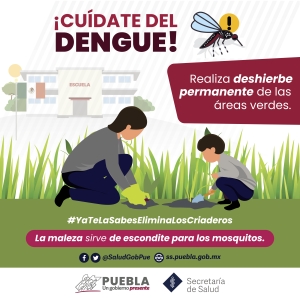 Puebla, sin defunciones por dengue en las últimas 24 horas: Salud