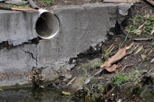 Cólera, dengue, malaria, hepatitis A, zika y chikungunya, enfermedades propias de la temporada de lluvia