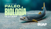 Laboratorio de Paleobiolog&iacute;a de la BUAP, evidencia de vida del pasado para interpretar el presente y vislumbrar un futuro