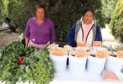 Mujeres rurales contribuyen a la producción de alimentos y preservación de la identidad mexiquense